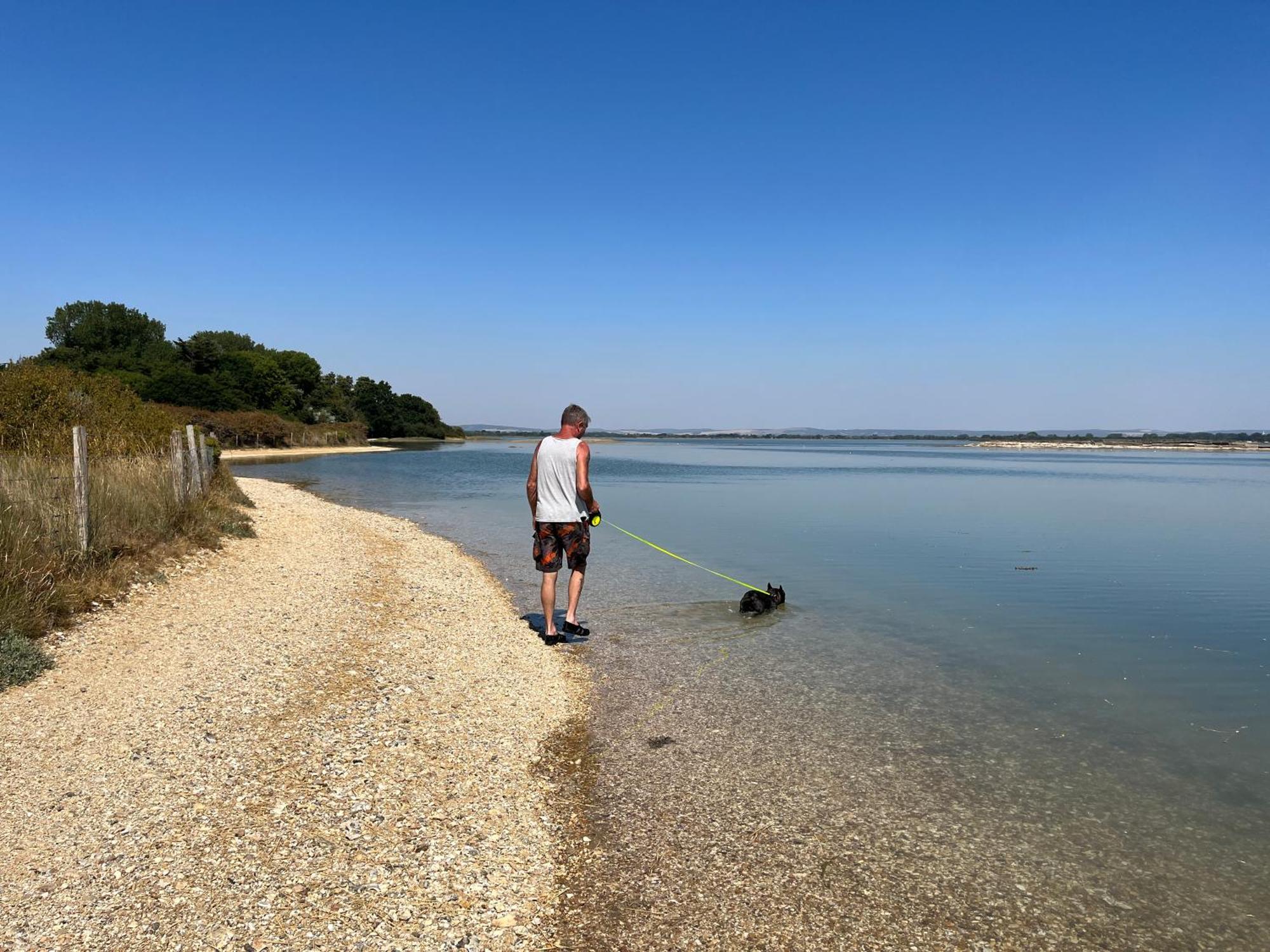 Stay At 'The Elms' In Tranquil Church Norton, Selsey - Ground Floor Bedroom, Own Private Bathroom, Quiet Beach, 2 Acre Garden By The Sea, On Edge Of Wildlife Nature Reserve エクステリア 写真