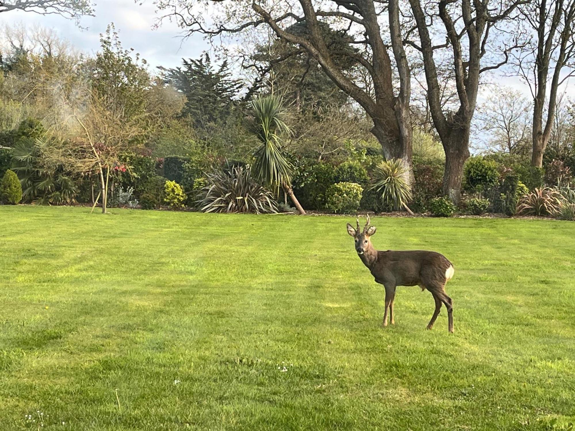 Stay At 'The Elms' In Tranquil Church Norton, Selsey - Ground Floor Bedroom, Own Private Bathroom, Quiet Beach, 2 Acre Garden By The Sea, On Edge Of Wildlife Nature Reserve エクステリア 写真